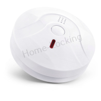 Home-Locking bedrade rook-detector.DR-1310